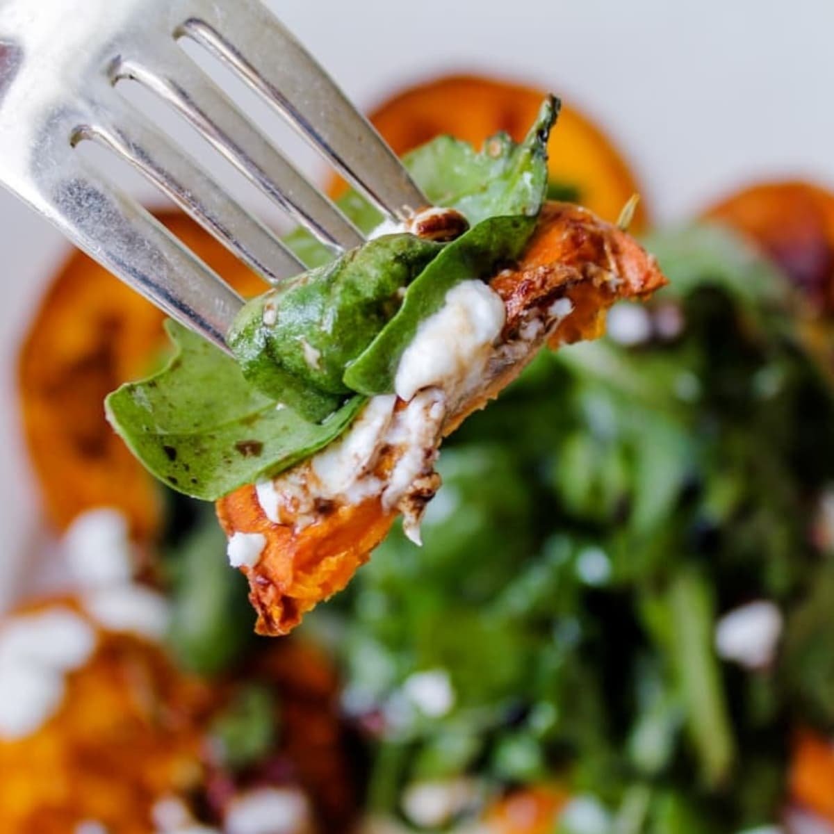 Arugula Salad With Roasted Sweet Potatoes Goat Cheese Gluten Free
