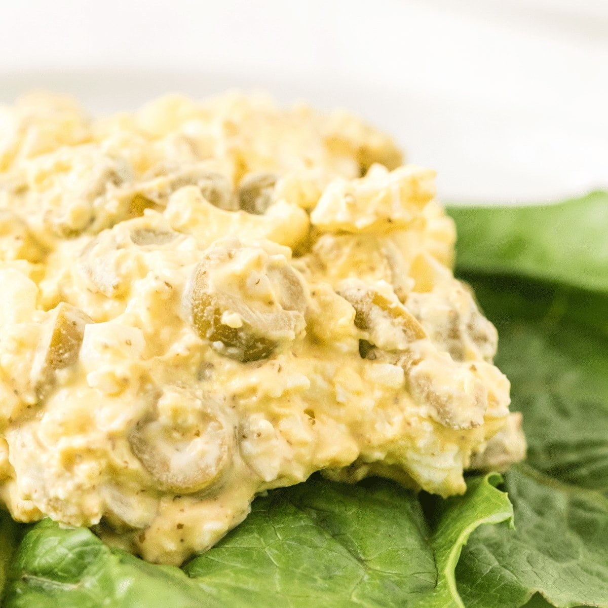 Egg And Olive Salad Sandwich Recipe