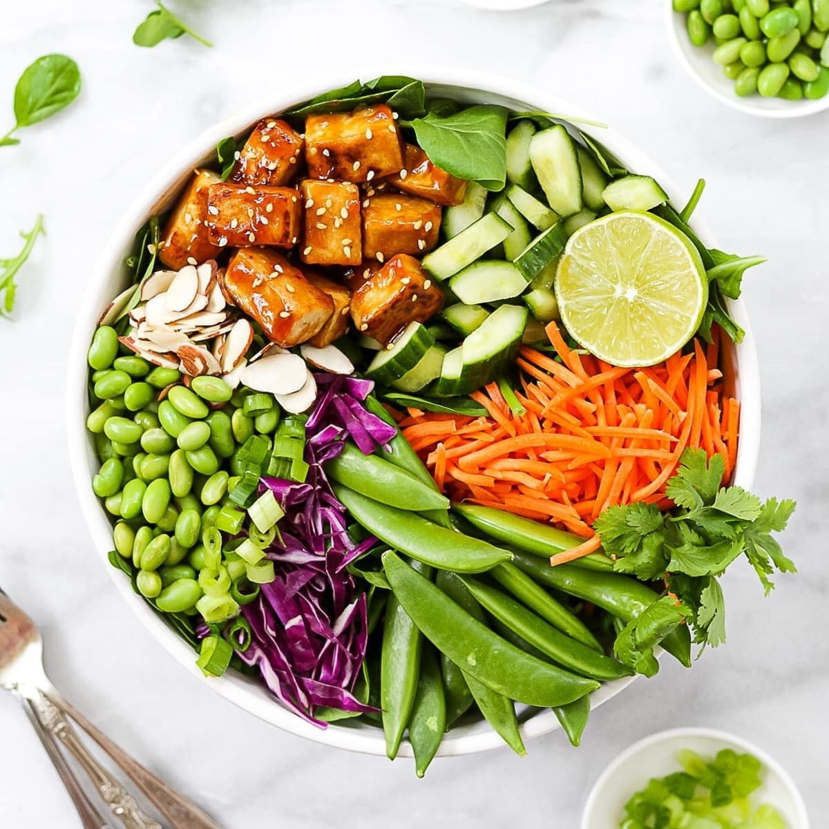 Sesame Tofu Salad